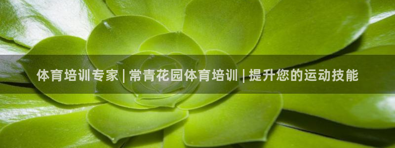 尊龙凯时推荐人：体育培训专家 | 常青花园体育培训 