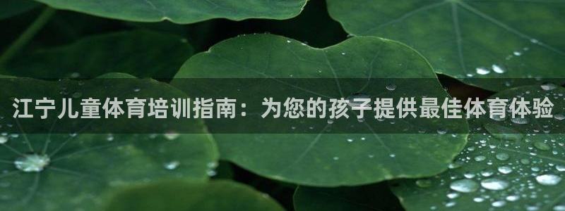 尊龙集团有限公司官网地址：江宁儿童体育培训指南：为您