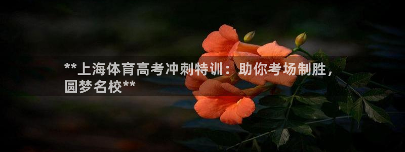 尊龙 ag：**上海体育高考冲刺特训：助你考场制胜，