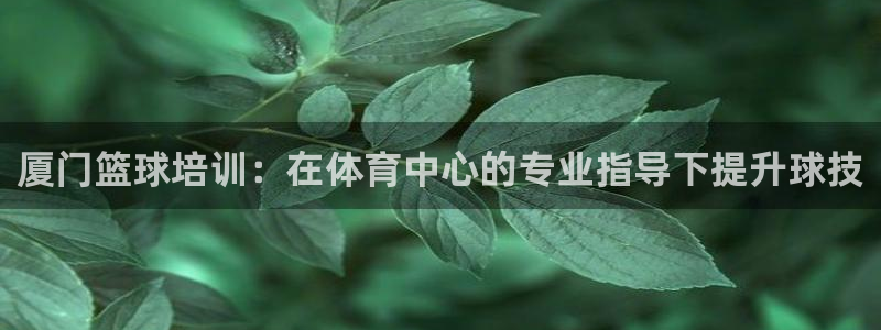 KB88凯时官网：厦门篮球培训：在体育中心的专业指导