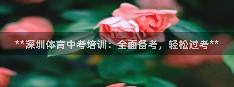 尊龙服饰品牌介绍：**深圳体育中考培训：全面备考，轻