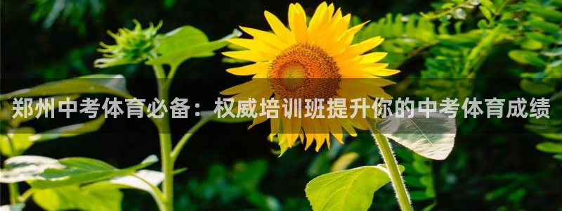 尊龙凯时发展历程：郑州中考体育必备：权威培训班提升你
