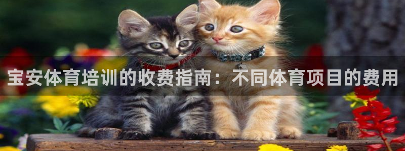 尊龙凯时邀请码：宝安体育培训的收费指南：不同体育项目