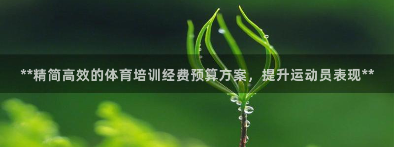 尊龙z6.con：**精简高效的体育培训经费预算方案