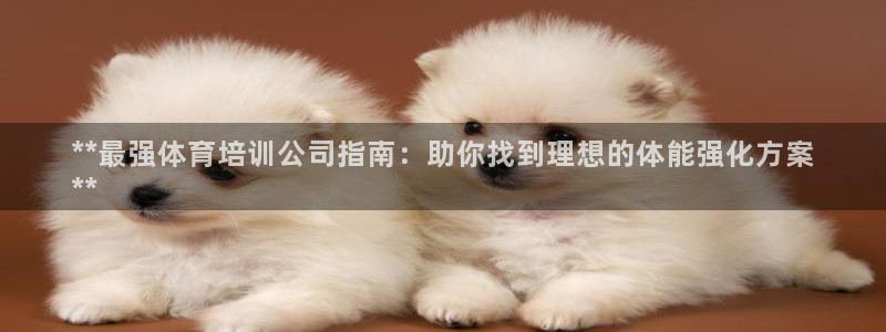 尊龙新版手机app下载：**最强体育培训公司指南：助