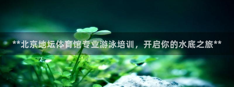 尊龙人生就是博ag旗舰厅：**北京地坛体育馆专业游泳