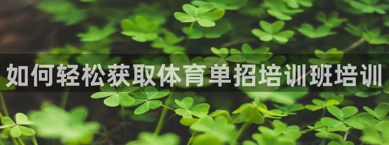 尊龙官网在哪里：如何轻松获取体育单招培训班培训
