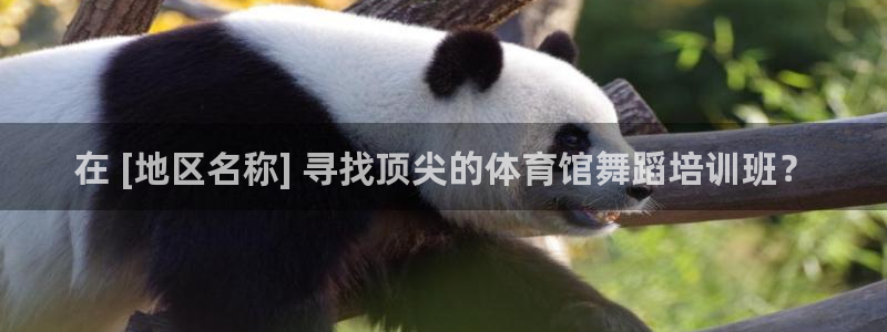 尊龙凯时·中国官方网站：在 [地区名称] 寻找顶尖的