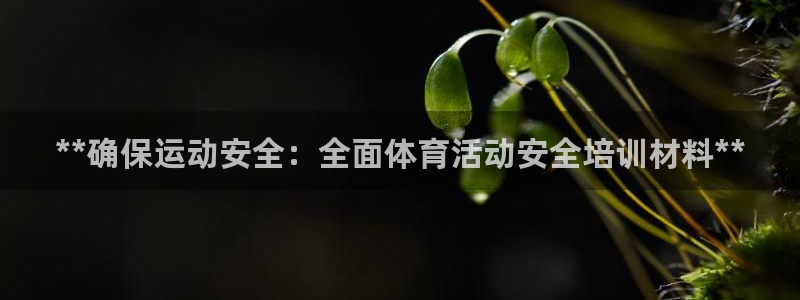 尊龙ag旗舰厅手机版：**确保运动安全：全面体育活动