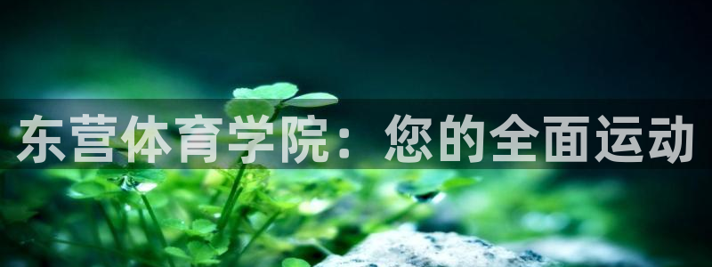 尊龙人生手机版