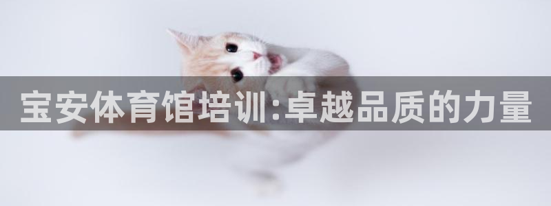尊龙凯时网站网址