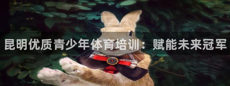 尊龙目前在哪：昆明优质青少年体育培训：赋能未来冠军