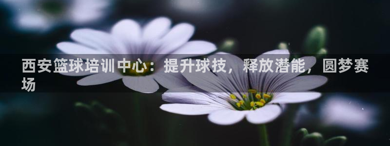 kb88凯时唯一官网注册：西安篮球培训中心：提升球技